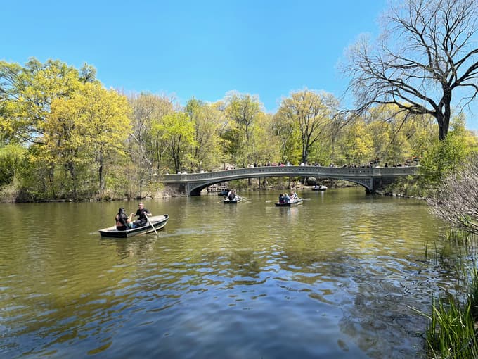 Centralni park je priljubljen tudi med veslači.