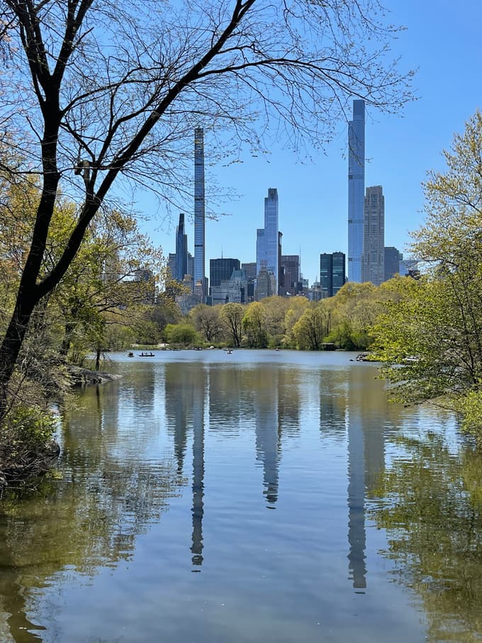 Živeti v eni od stolpnic ob Centralnem parku je pravi privilegij, za katerega je treba zelo globoko seči v žep.