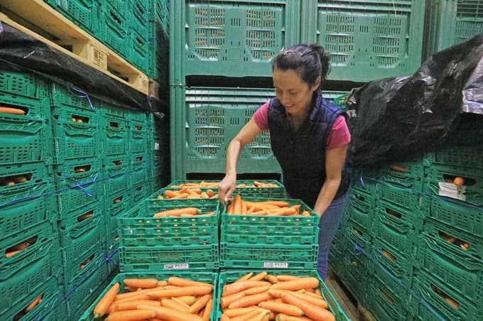 Gorišnica: Kmetije že z namakalnimi sistemi, a zaradi zamaknjenega razpisa ni dovolj opreme