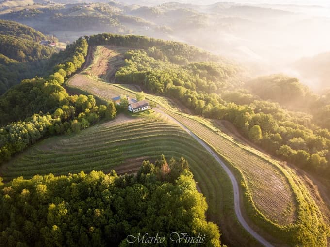 Vindiševe fotografije haloške pokrajine so na spletu postale viralne.