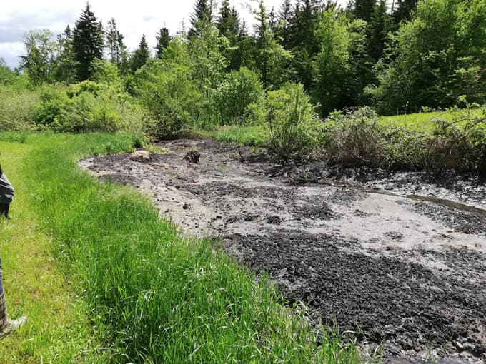 Prevoznik, podjetje Lasaz, bo moral sanirati območje, kjer je konec aprila in v začetku maja odložil okoli 400 kubičnih metrov blata. A kdaj?
