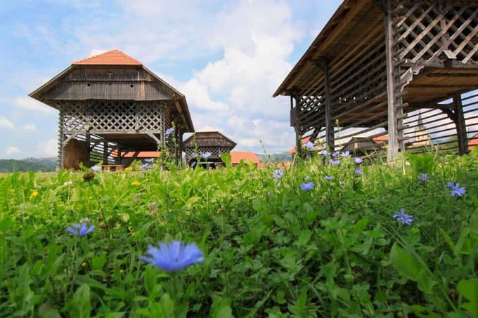 Dežela kozolcev v Šentrupertu