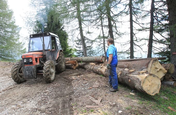 Preden se odločite za leseno fasado, preberite, kateri les je zanjo najbolj primeren