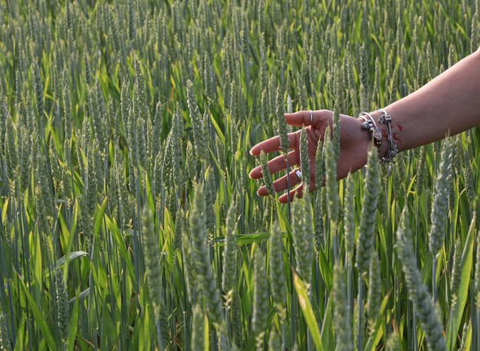 Izpoved v času depresij(e): Počutila sem se kot "luzerka", ki je zavozila