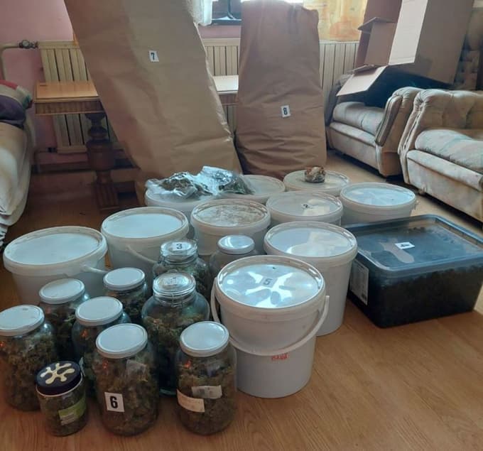 (FOTO) Po hišni preiskavi pomurskih policistov: Toliko bi 50-letnik zaslužil s prodajo konoplje