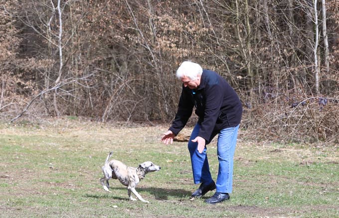 V preteklosti je Stražun služil predvsem kot vir lesa za gradnjo in kurjavo, bil je tudi prostor za lov. Te funkcije do določene še vedno ohranja - v ospredje pa danes prihaja predvsem njegova socialno-psihološka funkcija.