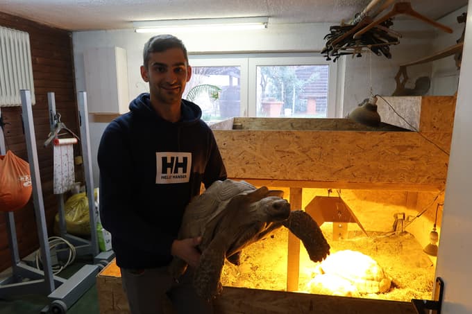 V kleti ima terarij. 