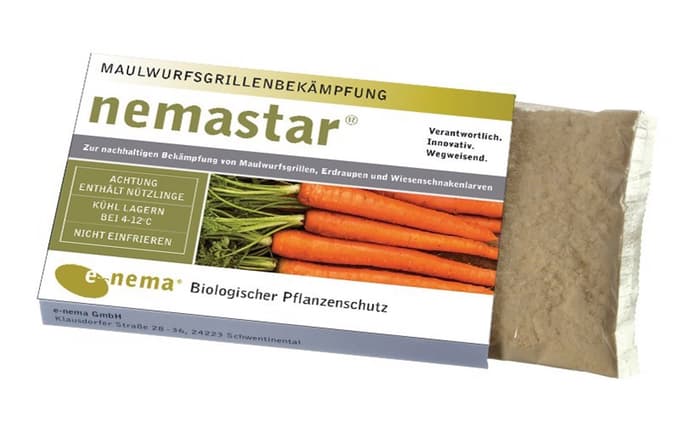 Bramor, nočna mora vrtnarjev