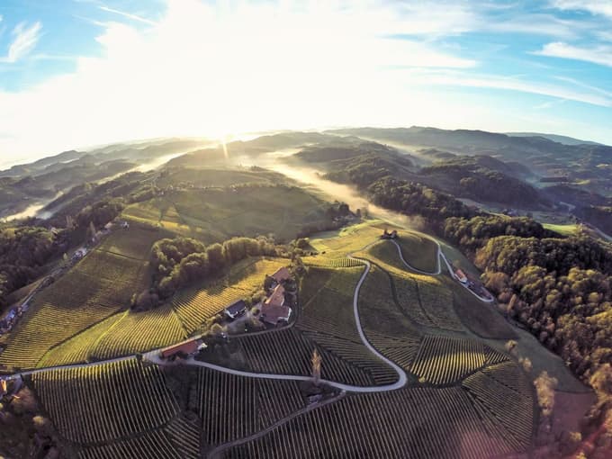 Osrednja zgodba destinacije Štajerska je vino.