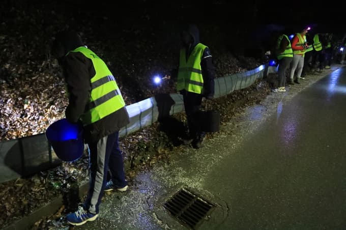 Spomladanska selitev dvoživk: Pri Treh ribnikih znova akcija za njihovo reševanje. Zaščitna ograda tudi pod Pohorjem