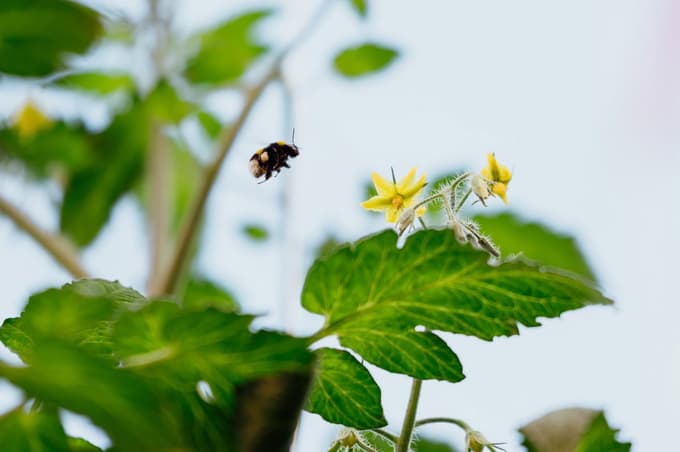 Skupaj nam je najbolj LUŠTno