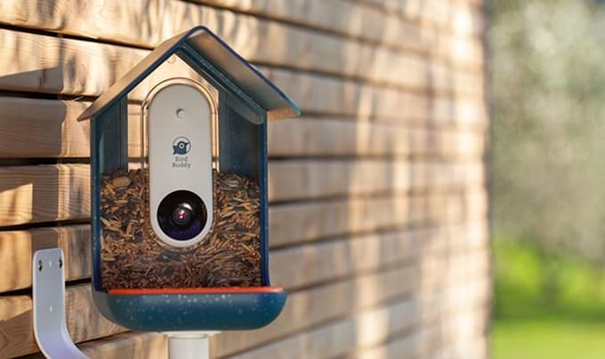 Pametna ptičja hišica Bird Buddy.