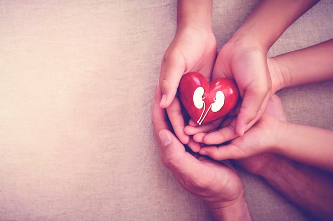 Ko pomislimo na zaščito srca, pomislimo tudi na ledvice