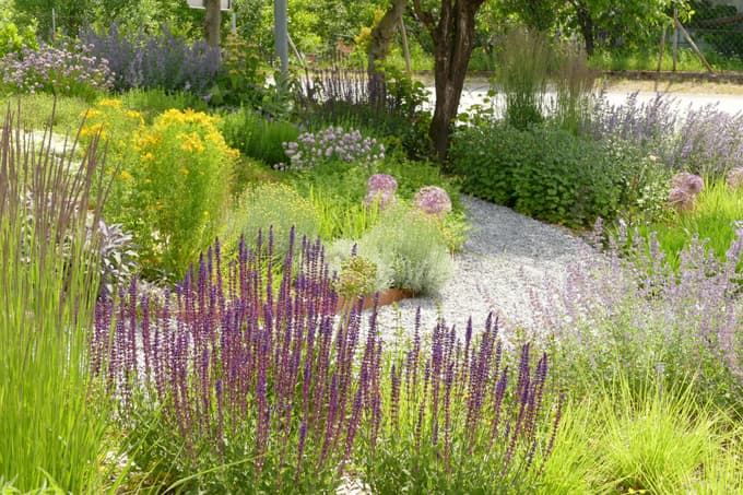 Zmerna, nepredelana hrana in uporaba zelišč ter pripravkov iz njih sta prav tako del filozofije Sebastiana Kneippa.