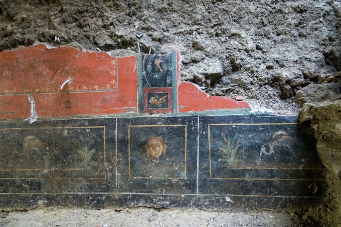 Edinstvene freske v Celju: Do višine 1,3 metra so se freske v bogati celjski vili ohranile. Vse ostalo je v fragmentih in čaka na restavratorska dela.