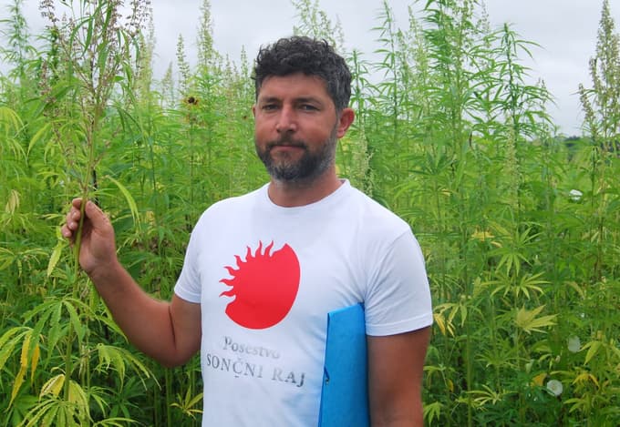 Mak Bogdan pojasnjuje, da po CBD-izdelkih povprašujejo uporabniki različnih profilov, od bolnikov do poslovnežev.