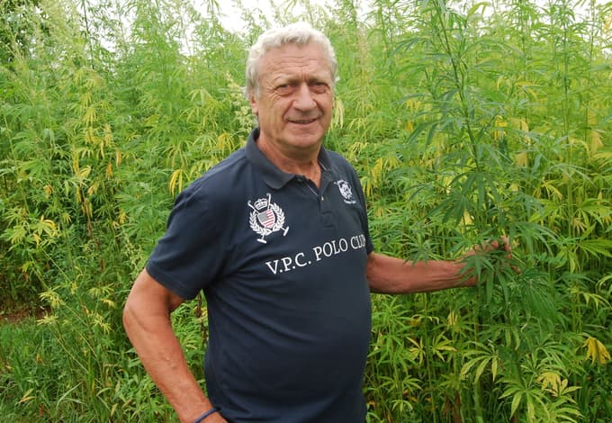 Karl Raab je eden od 20 pridelovalcev konoplje na avstrijskem Koroškem, kjer v sodelovanju s pivovarno varijo tudi konopljino pivo.