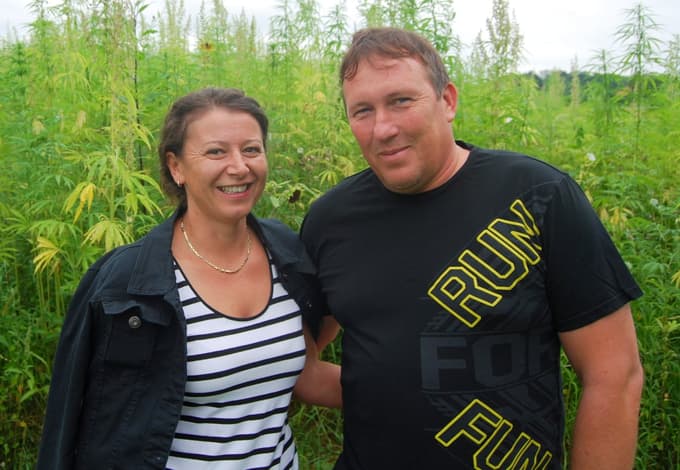 Darinka in Stanko Kajdič sta se za pridelavo konoplje med drugim odločila, ker se ta bolj izplača od koruze.