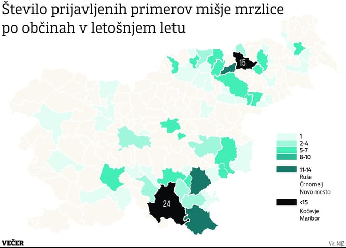 Zaradi epidemije mišje mrzlice že 204 oboleli. V Mariboru trenutno zdravijo enega bolnika, prav tako v Ljubljani