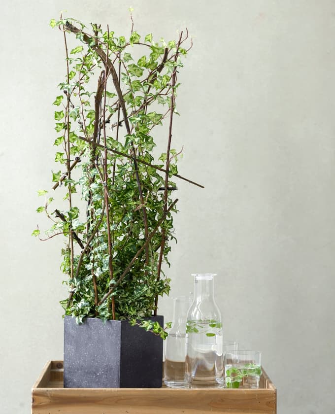 Najboljše čistilke zraka v stanovanju