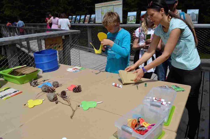 Poleg spoznavanja narave se bodo otroci poleti lahko udeležili ustvarjalnih delavnic.