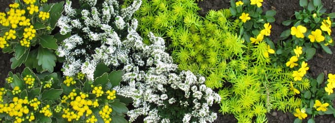 Zimske počitnice v Mariboru: Od drsanja do raziskovanja podzemlja