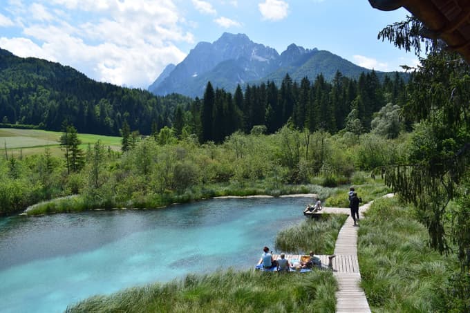 Zelenci na izviru Save Dolinke so v vse slabšem ekološkem stanju zaradi smučišč.