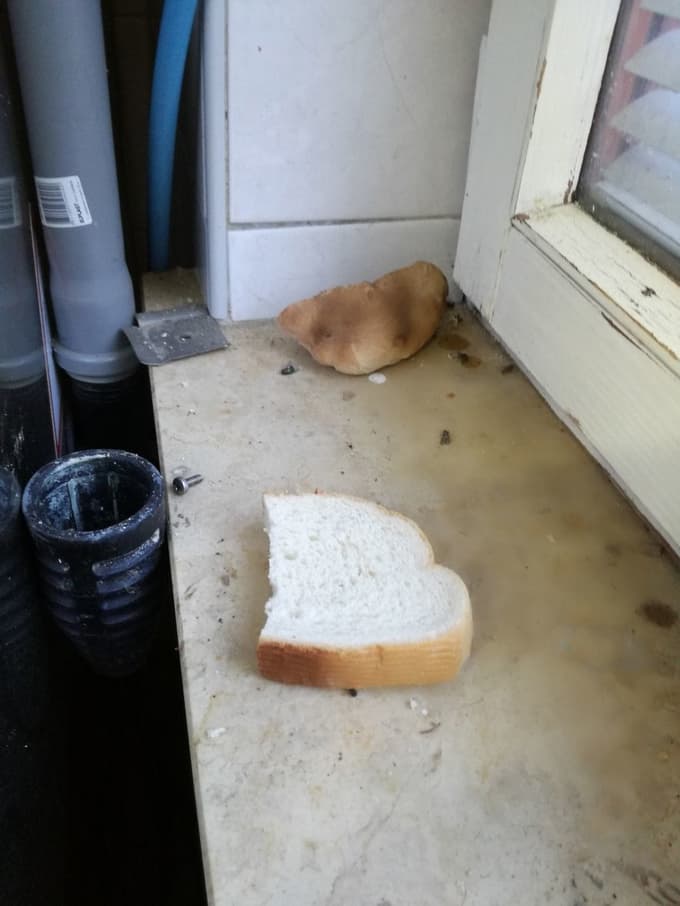 Takšne kršitve so inšpektorji našli v pomurskih obratih.
