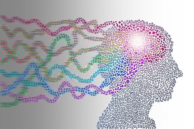 Delovni spomin je krhek. Zadrži lahko le majhno količino informacij za kratek čas in je zelo občutljiv na motnje. Ena sama konkurenčna misel ga lahko izbriše.