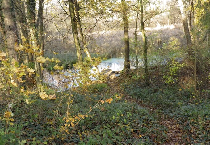 Ribniki so del grajskega kompleksa Turnišče.