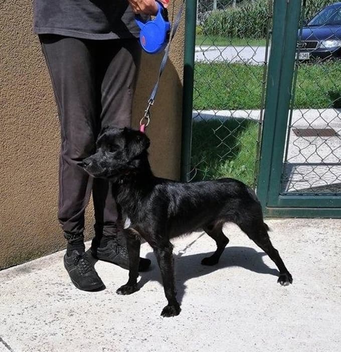 Sally je na začetku nezaupljiv, potem pa vodljiv.