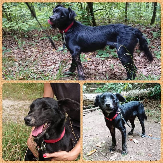 Sally bi rad imel miren in ljubeč dom.