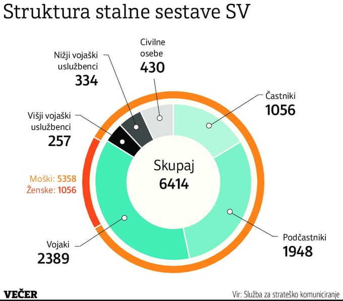 Kadrovska podhranjenost Slovenske vojske: Želeli imeti smetano, zdaj imajo težave