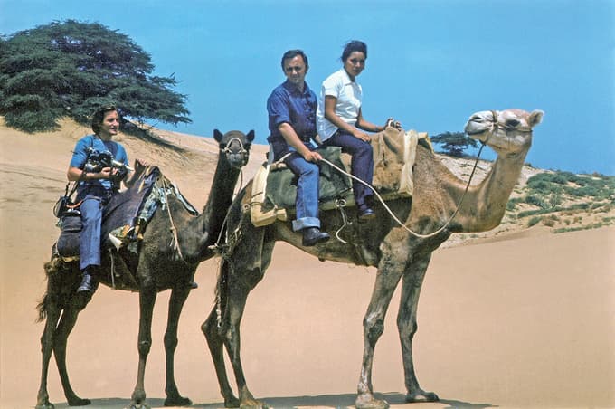 (INTERVJU) Tone Hočevar: V tebi mora biti ta drža, da ne poklekneš, da ne počepneš, da se ne plaziš