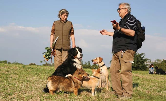 (INTERVJU) Tone Hočevar: V tebi mora biti ta drža, da ne poklekneš, da ne počepneš, da se ne plaziš