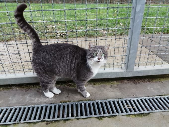 Mina je zelo cartljiva.