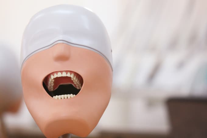 V Mariboru bo študij za zobozdravnika