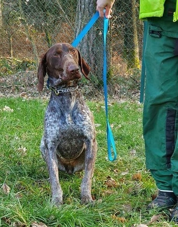 Azra potrebuje aktivnega lastnika.