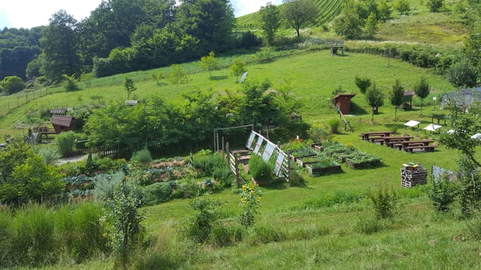 Gospodinjska samooskrba temelji na raznoliki rabi tal in vključuje pridelovalne grede za zelenjavo, rastišča jagodičevja, sadno drevje in po možnosti rastlinjak.