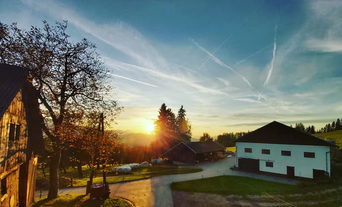 Naj dijak želi biti kmet in ostati na domači kmetiji