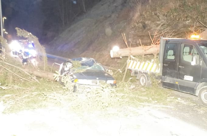 (FOTO) 52-letni voznik na kraju nesreče umrl, drevo je poškodovalo tudi vozilo delavcev