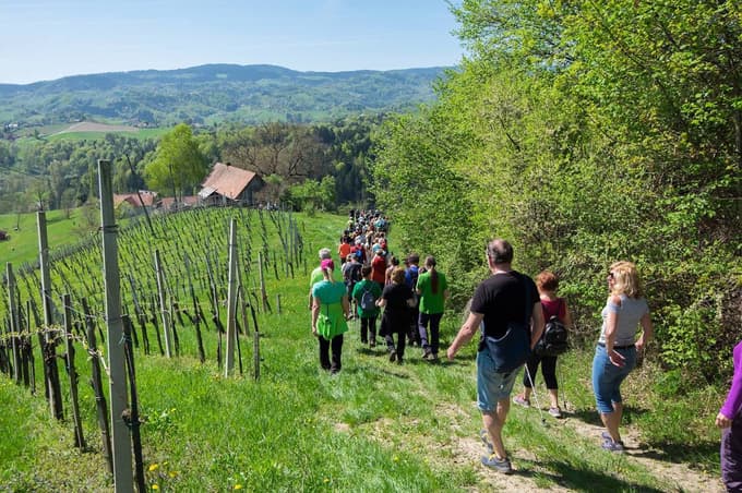 Jurijev pohod je eden rednih Vinotour pohodov