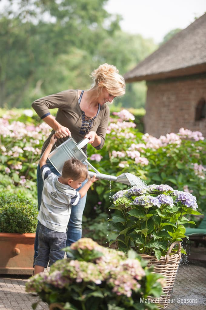 Več rastlin ne pomeni vedno več dela, pomembneje je, katere so te rastline in da so sajene na ustrezno lego.