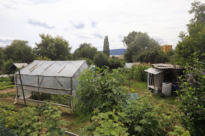 Vrtičkarstvo je med Slovenci precej razširjen hobi.
