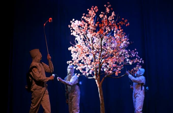 Človek, ki je gledal svet
 