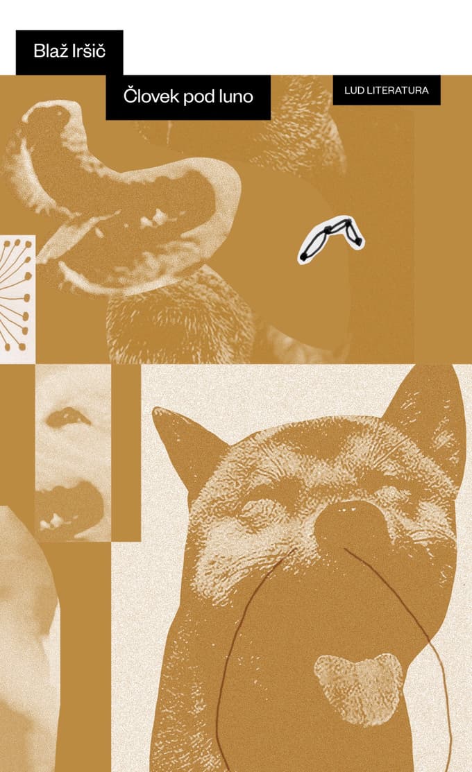 17. Festival Pranger: močne pesniške govorice, humor, (samo)ironija in neposredno pesniško upovedovanje
