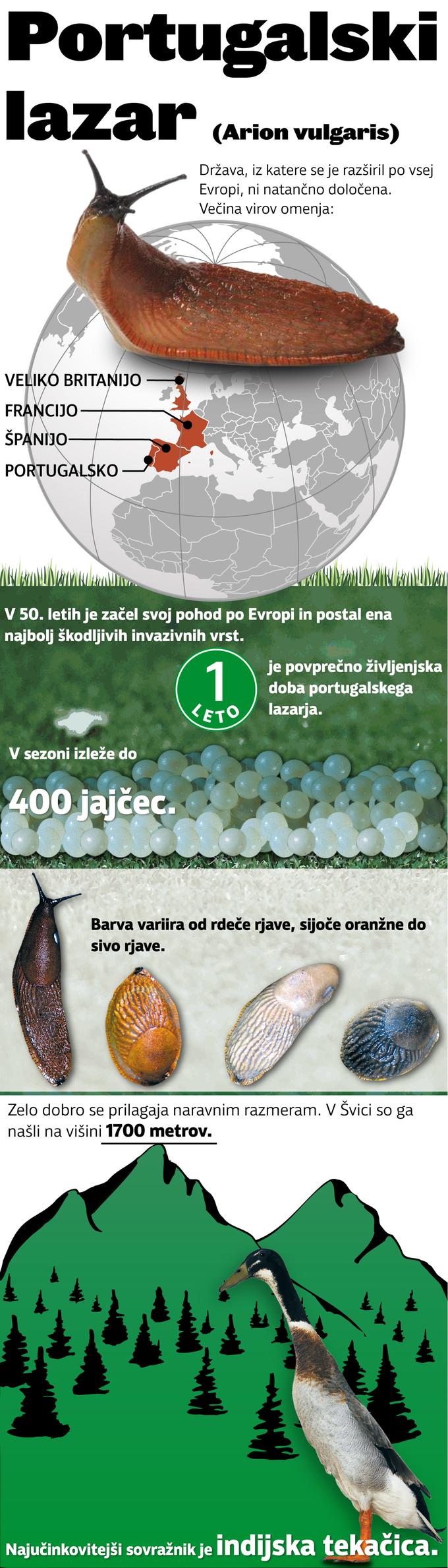 Polžek moj, kaj boš uničil nocoj?