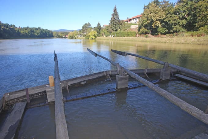 (FOTO) Projekt Naša Drava bo oživljal splavarjenje in športe na in ob reki Dravi