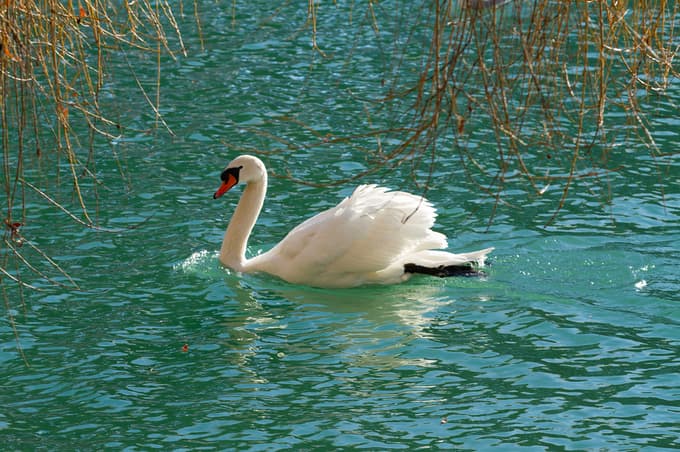 Pošljite nam svojo najlepšo fotografijo Štajerske