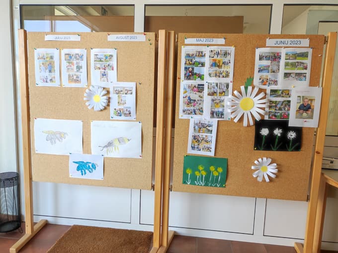 Predstavljene aktivnosti po mesecih